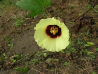 DSCN3187.JPG