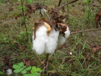 DSCN3171.JPG