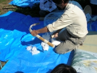 DSCN1335.JPG